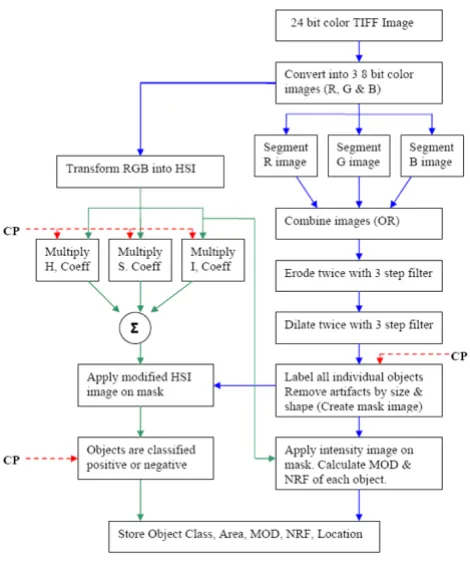 Figure 3Block diagram of the image analysis programBlock diagram of the image analysis program