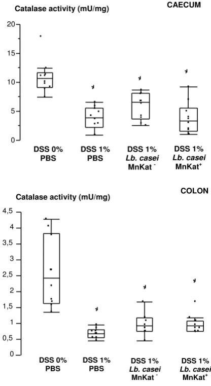 Figure 3in miceCatalase activity in digestive contents of DSS-induced colitis Catalase activity in digestive contents of DSS-induced colitis in mice