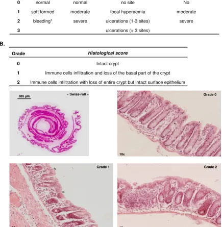 Figure 4Inflammation scores determinationusing HémocultIIeach digestive segment. Three grades were defined depending on the mucosal state