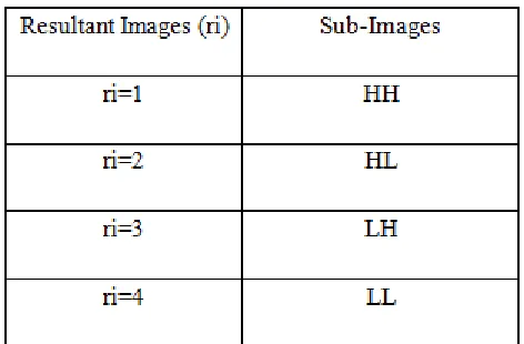 Table 1 Resultant and Sub-Images  