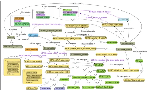 Fig. 1 NCRO core terms and relations. The design of core terms and relations in the NCRO ontology (terms and relations are represented in theformat of “PREFIX:label”)