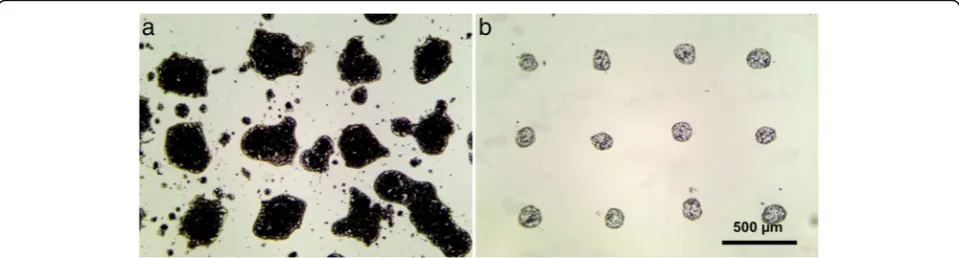 Fig. 1 Soil laser micro sampling (LMS) with water (a) and with an addition of gel (b) produced by laser printing of soil containing drops at thelaser pulse energy of 20 μJ