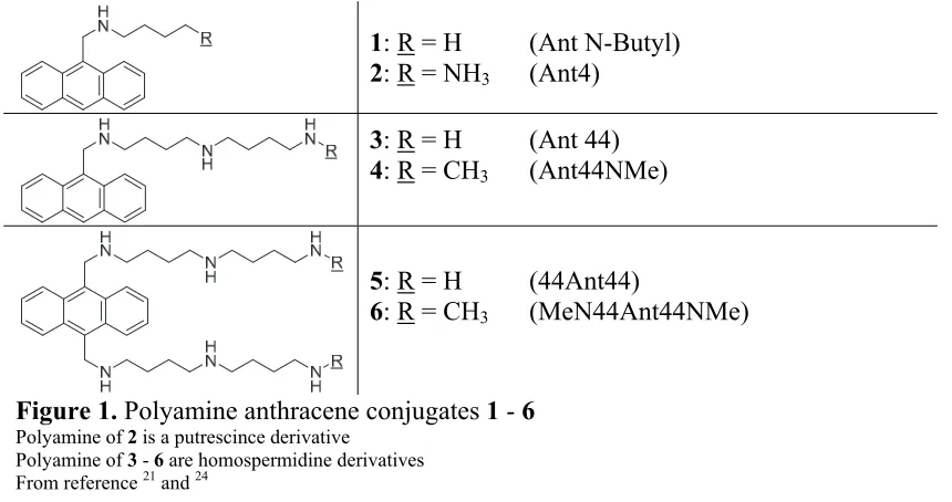 Figure 1.  Polyamine anthracene conjugates 1 - 6 