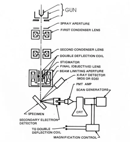 Figure 2-7 Scanning Electronic Microscope  