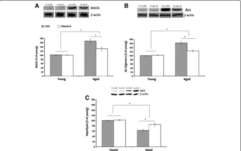 Figure 7 Beta amyloid clearance.Nonetheless, the development of this age-related neuropathology was abated by vitamin D supplementation