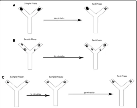 Figure 2 Spontaneous object recognition tasks. Diagrams of the three spontaneous object recognition tasks used in the study: novel objectrecognition (A), object-in-place test (B), and temporal order memory (C).