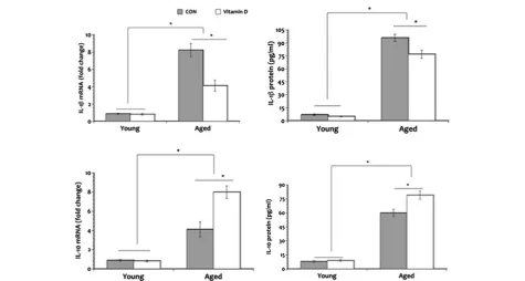 Figure 5 Discrimination ratio in the spontaneous object recognition tasks. Performances in the novelty object test (A) show nosignificant differences in all groups