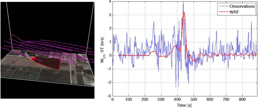 Fig. 7. Simulation of the FireFlux experiment (Clements et al., 2007) by WRF and SFIRE