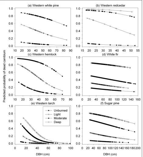 Figure 2.  Predicted probability of dead cambium by bark char code for species where dbh is significant in the model