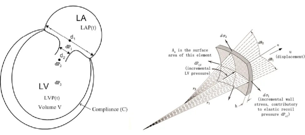 Figure 14Dynamic equilibrium of a myocardial elementρDynamic equilibrium of a myocardial element