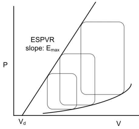 Figure 1(ESPVR)Schematic drawing of P-V loops and end-systolic P-V relation Schematic drawing of P-V loops and end-systolic P-V relation (ESPVR)
