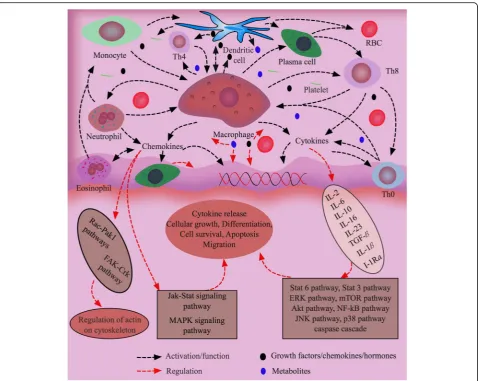 Fig. 3 Biological factors and their roles in cell-cell and cell-matrix cross talks for tissue homeostasis