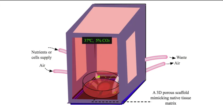 Fig. 4 Dynamic spatial culture bioreactor with native-like microenvironment for in vitro tissue modeling and regeneration
