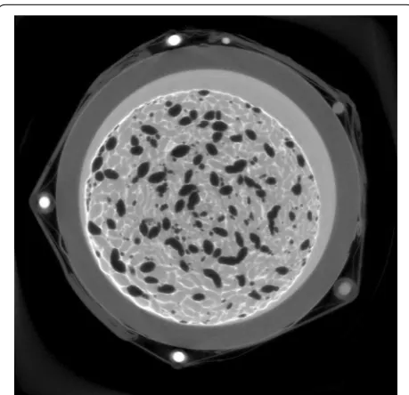 Fig. 4 SIRT reconstruction of tissue engineering scaffold. Recon-struction with 150 iterations of SIRT on 20 GPUs of an alginate/hydroxyapatite bone tissue engineering scaffold