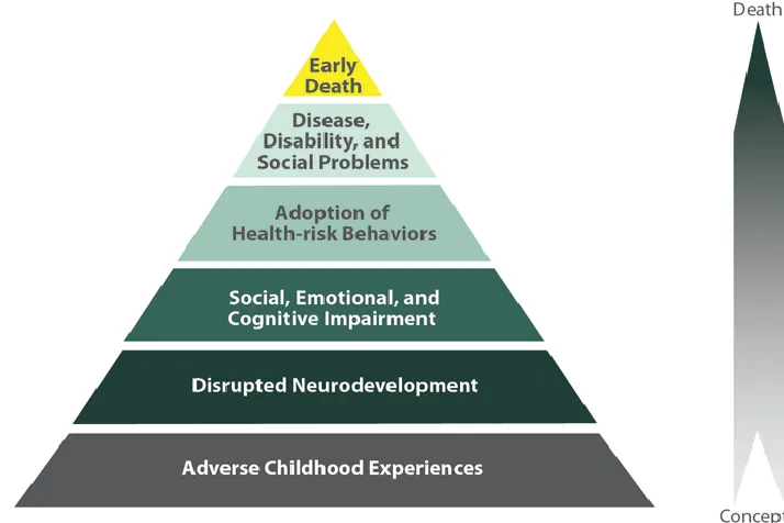 Figure 2.3 - The ACE Pyramid: Conceptual Framework for the ACE Study 