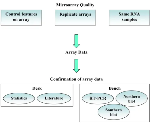 Figure 2Common steps employed to ensure quality and validity of microarray resultsbinatorial approach is usually needed; checking the statistical significance associated with the expression levels of specific genes, Common steps employed to ensure quality 