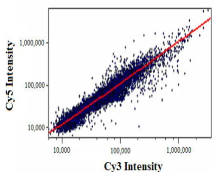 Figure 3on a log-log scale prior to normalizationScatter plot of measured intensities for both fluorescent dyes Scatter plot of measured intensities for both fluorescent dyes on a log-log scale prior to normalization