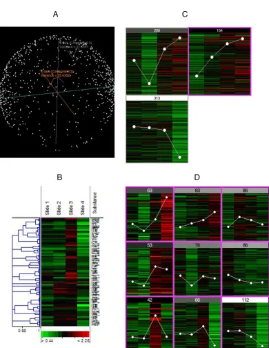 Figure 4K-means, (D) Self-organizing maps (SOMs)Visualizations generated from the following clustering algorithms: (A) Principle component analysis (PCA), (B) Hierarchical, (C) Visualizations generated from the following clustering algorithms: (A) Principl
