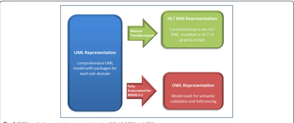Fig. 1 BRIDG multiple-perspective representations in UML, HL7 RIM and OWL