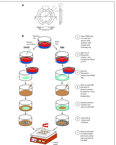 Fig. 1 a Dimensions (in mm) of the PDMS ring used to segment the wells. b Schematic of the methods for allowing cell growth only in the centre oredge of a 6-well plate