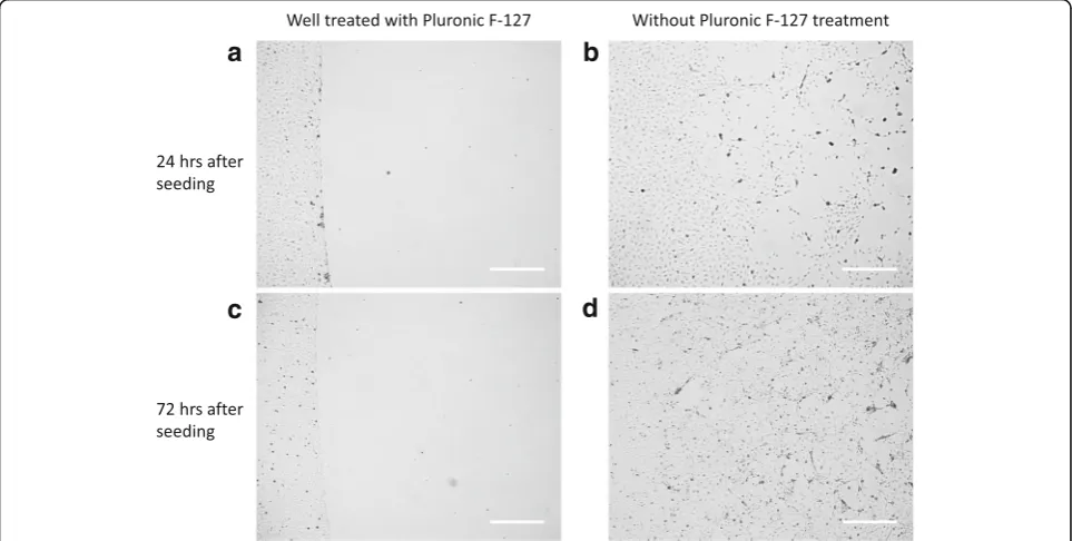 Fig. 3 Microscope images showing that Pluronic F-127 prevents HUVEC adhesion to the region without fibronectin coatingattached to the part of the well surface that had not been pre-treated with fibronectin, prior to passivation with Pluronic F-127, after 2