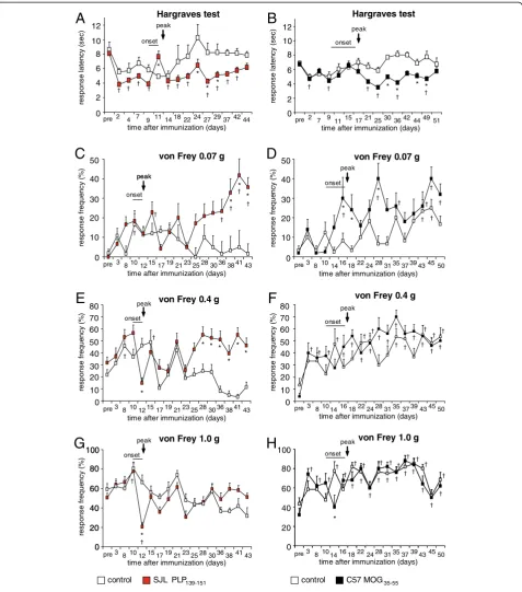 Figure 2 Analysis of nociceptive sensitivity in SJL mice immunized with PLPResponse frequency toward the application of 0.07 g von Frey hair filament in ((mechanical allodynia in the chronic phase whereas C57-EAE mice showed minor allodynia in the onset an