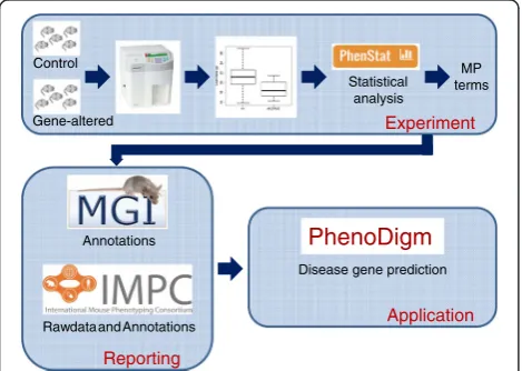 Fig. 1 The phenotyping pipeline. The high throughput phenotypingpipeline integrates a series of screens to assess the impact of thegenotype amendment on a variety of disease-related and biologicalsystems
