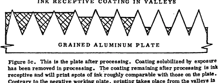 Figure 5c.hasThis is the plate after processing. Coating solubilized by exposure been removed in processing.The coating remaining after processing is ink