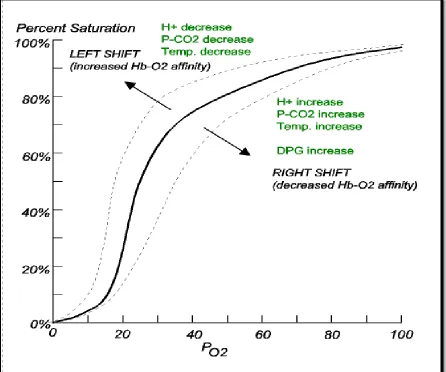 Figure 1. Oxygen disassociation curve 