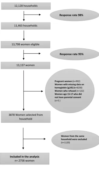 Figure 3. Sampling flow diagram of participants in the study.  