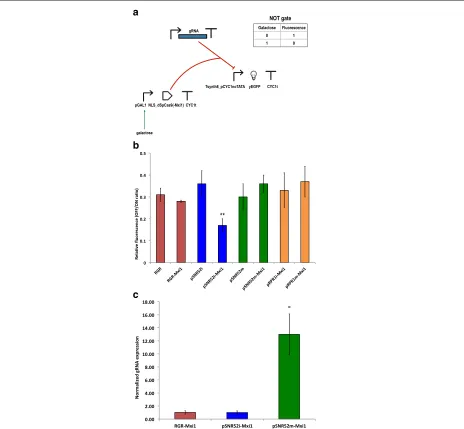 Fig. 1 NOT gates used to test the action of dSpCas9(-Mxi1):gRNA on the synthetic promoter Tsynth8_pCYC1noTATA