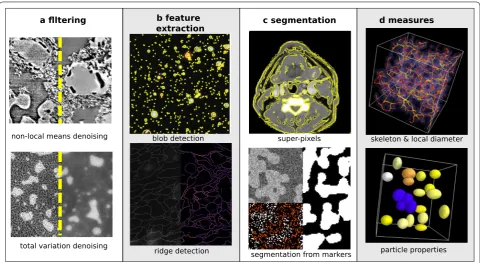 Fig. 5 Typical image processing operations with scikit-image. Data are synthetic, unless stated otherwise