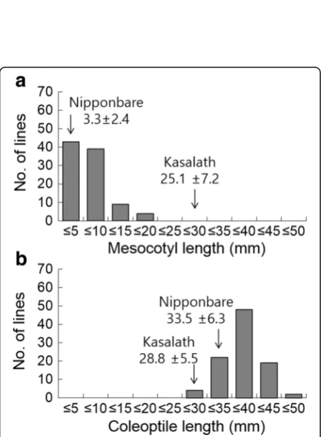 Fig. 2 Mesocotyl and coleoptile length for 57 accessions of RDRS (same row indicate significant differences according to the Duncan multiple range test (a), Comparison of mesocotyl and coleoptile length in 4 rice variety groups (b) Japonica(Ja), Tropical J