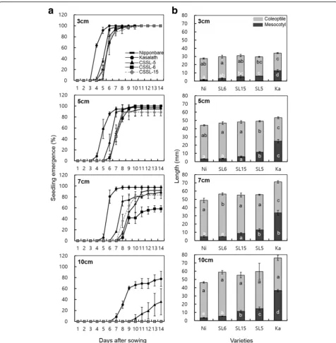 Fig. 5 Time course of seedling emergence (letters in the same row indicate significant differences according to the Duncan multiple range test (depth; (Seeds were sown at 3 cm, 5 cm, 7 cm, and 10 cm soil depth and the number of emerged seedling form soil s