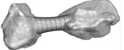 Figure 4: Grains with bond bridge modeled by surface  mesh (translucent view). 