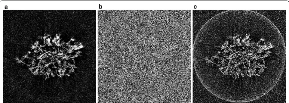 Fig. 11 Reconstructions of a Li–Owith the Shepp–Logan filter, and 2 battery cathode, using: a the proposed SIRT-FBP method with 200 approximated iterations, b standard gridrec c standard gridrec with the Parzen filter