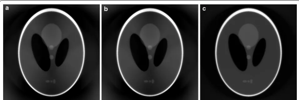 Fig. 1 a Shepp–Logan head phantom and b its projections for θ ∈ [0, π)