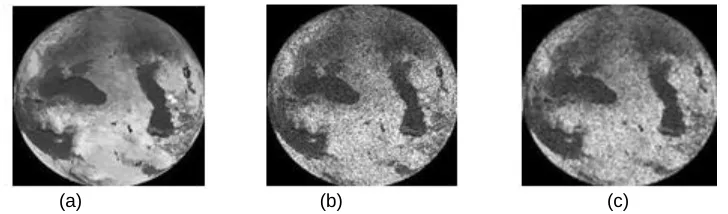 Fig 2:  Input Image, (b) noisy image(σ=0.2), (c) Denoised image using DWT 