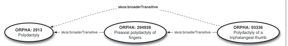 Figure 2 Example of disorder sub-typing via skos:broaderTransitive relations. Polydactly is broader than Preaxial polydactyly offingers, which is broader than Polydactyly of a triphalangeal thumb
