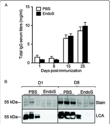 Figure 2 Endoglycosidase treatment has a profound effect onfrom EndoS-treated WT mice (IgG glycan hydrolysis in vivo