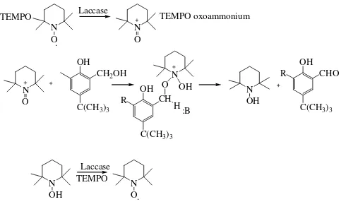 Figure 4et al. [43]Mechanisms of the laccase-TEMPO oxidation of hydroxymethyl groups to aldehyde groups by TEMPO according to d'Acunzo Mechanisms of the laccase-TEMPO oxidation of hydroxymethyl groups to aldehyde groups by TEMPO accord-ing to d'Acunzo et a