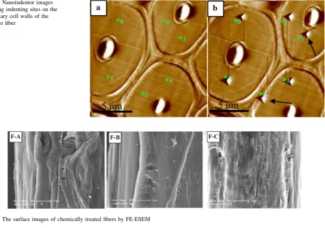 Fig. 4 The surface images of chemically treated ﬁbers by FE-ESEM