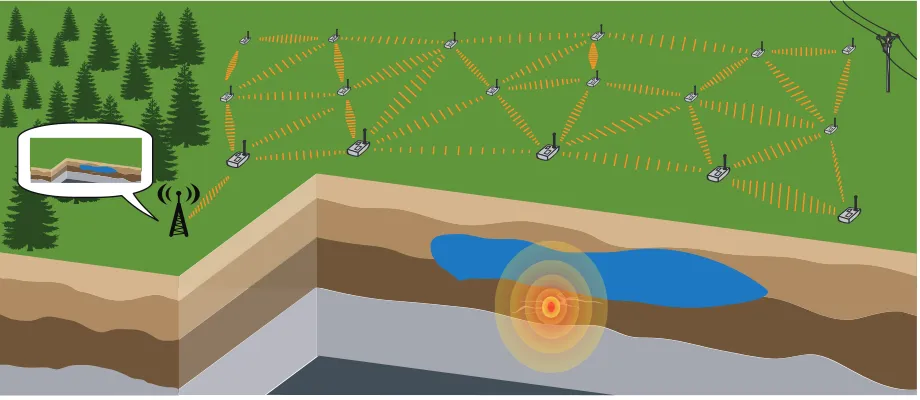 Figure 1.2 Sensor Network for Seismic Tomography.