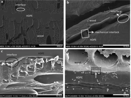 Fig. 7 Bonding interface between high-density polyethylene (HDPE) andtreated veneer a untreated veneer 9 150, b untreated veneer 9 5000, c thermal- 9 1000, and d silane-treated veneer 9 3000
