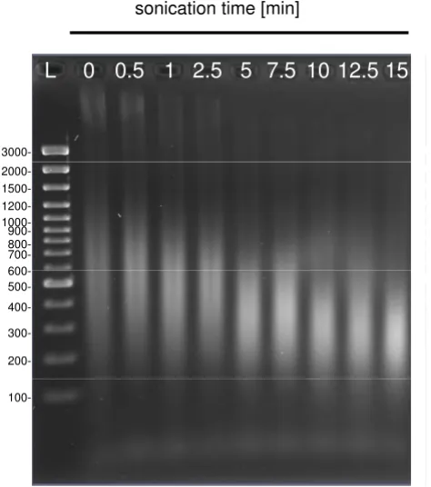 Table 1: Oligonucleotide primers and probes used in this study.