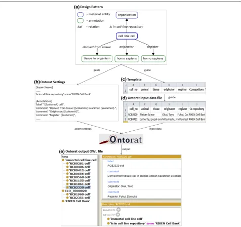 Figure 4 Demonstration of an Ontorat use case for ontology enrichment.new over 1,000 cell line celles collected in Japan RIKEN Cell Bank