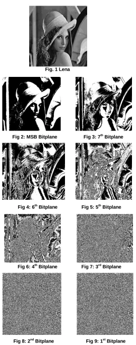 Fig 4: 6 th Bitplane 