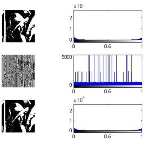 Fig 10: Lina and its Histogram  