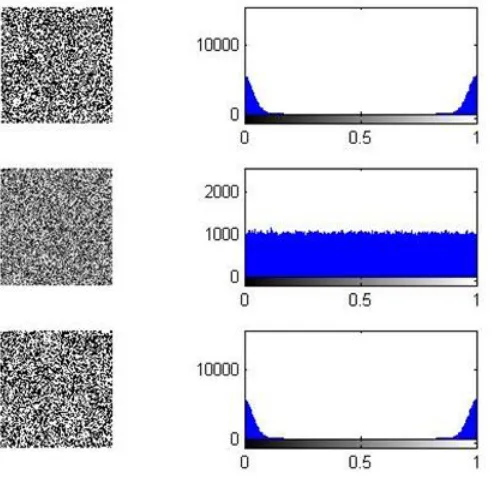 Fig 13: Encrypted & Decrypted image of LSB Bitplane        