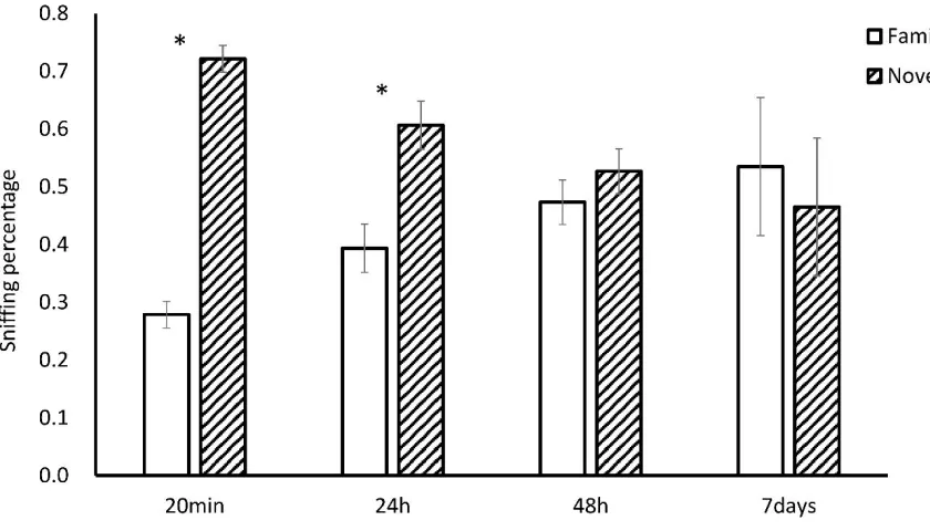 Figure 3.1 Duration of social recognition in hamsters 